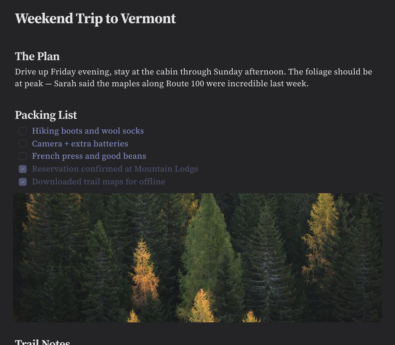 blackbear — markdown editor