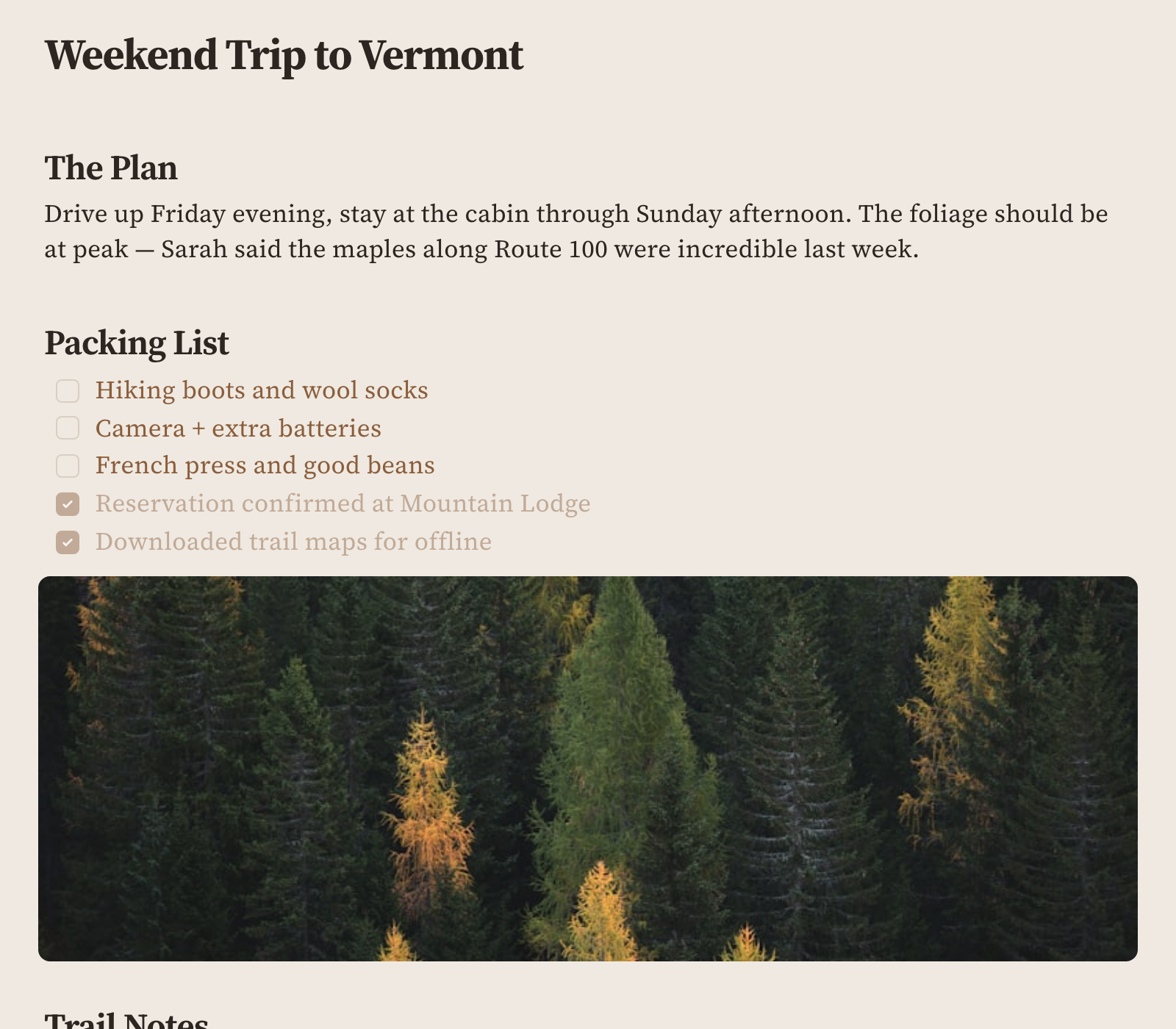 blackbear — markdown editor